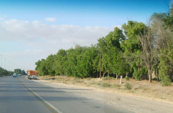 صورة 2