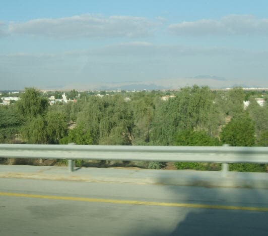 صورة 6