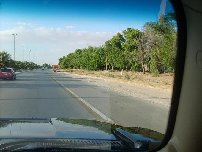 صورة 13