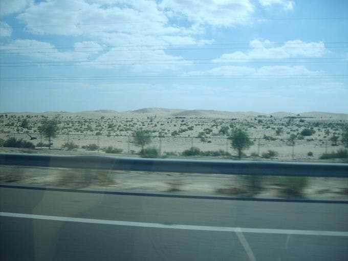 صورة 16