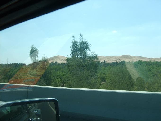 صورة 19